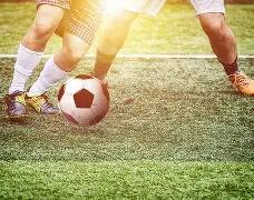 Advanced Functional Materials,马杰教授团,队在,大发彩票会员登录入口,dafa大发彩票官网,大发彩票dafa