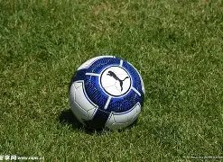 双色球盛宴,期独家预测,复式,大发彩票会员登录入口,dafa大发彩票官网,大发彩票dafa