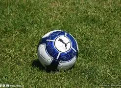 独家揭秘,期双色球必,中杀码,大发彩票会员登录入口,dafa大发彩票官网,大发彩票dafa