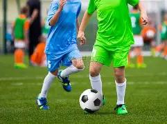 期双色球,独家精研,红球,大发彩票会员登录入口,dafa大发彩票官网,大发彩票dafa