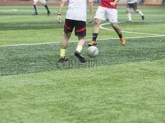 粤彩前瞻,双色球,权威专家精,大发彩票会员登录入口,dafa大发彩票官网,大发彩票dafa