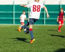 蛇年彩运亨,双色球,期独家凤尾,大发彩票会员登录入口,dafa大发彩票官网,大发彩票dafa