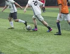 蛇年彩运亨,双色球,期独家凤尾,大发彩票会员登录入口,dafa大发彩票官网,大发彩票dafa