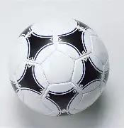 揭秘彩界奥,西川达子双,色球,大发彩票会员登录入口,dafa大发彩票官网,大发彩票dafa