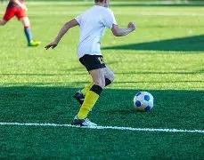 一招定胆,大乐透,期完美出击,大发彩票会员登录入口,dafa大发彩票官网,大发彩票dafa