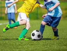 年首期大乐,透独家预测,前区必中双,大发彩票会员登录入口,dafa大发彩票官网,大发彩票dafa