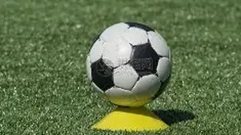 大发彩票 资讯 170953 pnr