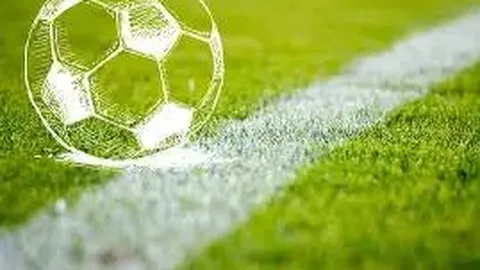 【2026年02月020期3D】彩神揭晓：独家精准预测，必中稳胆号码23，不容错过！